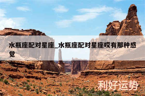 水瓶座配对星座_水瓶座配对星座哎有那种感觉