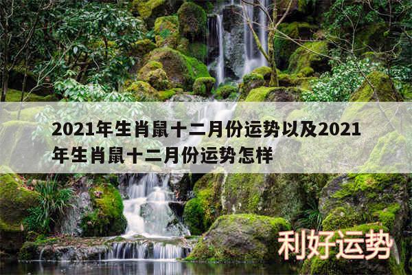 2024年生肖鼠十二月份运势以及2024年生肖鼠十二月份运势怎样