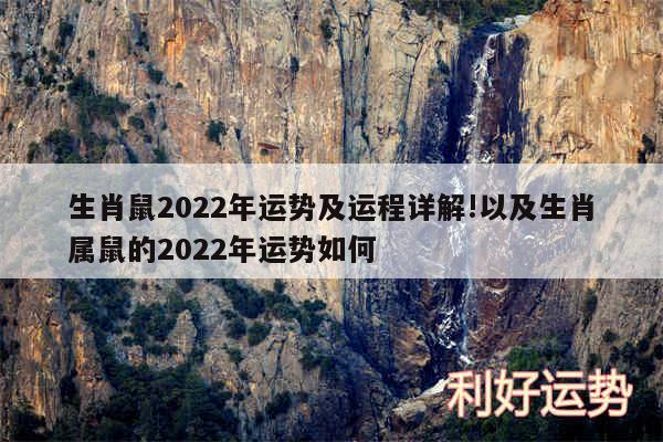 生肖鼠2024年运势及运程详解!以及生肖属鼠的2024年运势如何