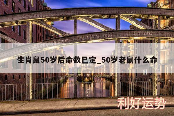 生肖鼠50岁后命数已定_50岁老鼠什么命