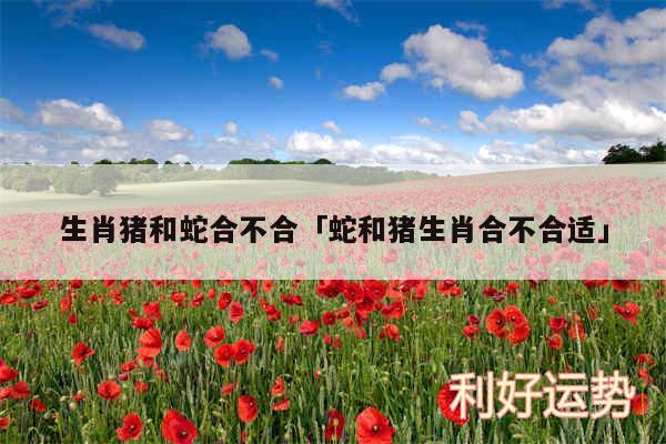 生肖猪和蛇合不合及蛇和猪生肖合不合适