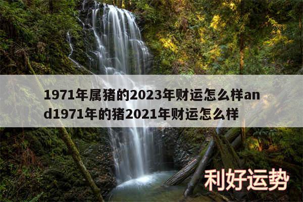 1971年属猪的2024年财运怎么样and1971年的猪2024年财运怎么样