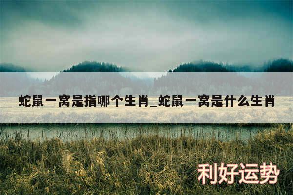 蛇鼠一窝是指哪个生肖_蛇鼠一窝是什么生肖