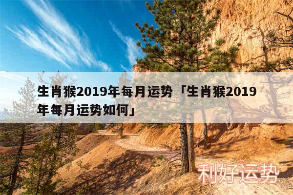 生肖猴2019年每月运势及生肖猴2019年每月运势如何