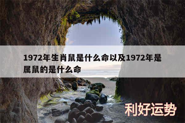 1972年生肖鼠是什么命以及1972年是属鼠的是什么命