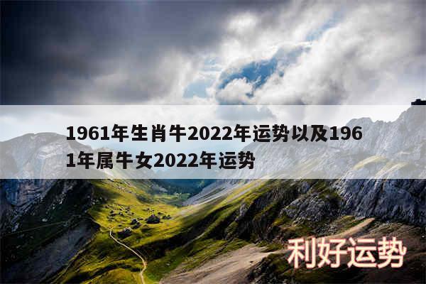 1961年生肖牛2024年运势以及1961年属牛女2024年运势