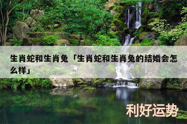 生肖蛇和生肖兔及生肖蛇和生肖兔的结婚会怎么样