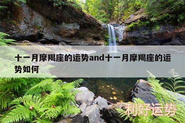 十一月摩羯座的运势and十一月摩羯座的运势如何