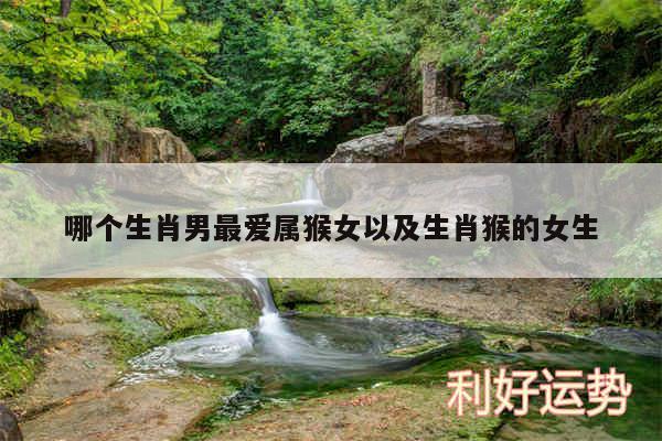 哪个生肖男最爱属猴女以及生肖猴的女生