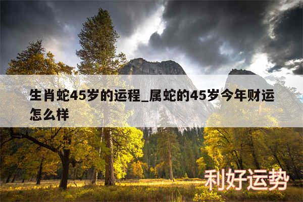 生肖蛇45岁的运程_属蛇的45岁今年财运怎么样