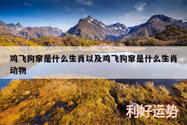 鸡飞狗窜是什么生肖以及鸡飞狗窜是什么生肖动物