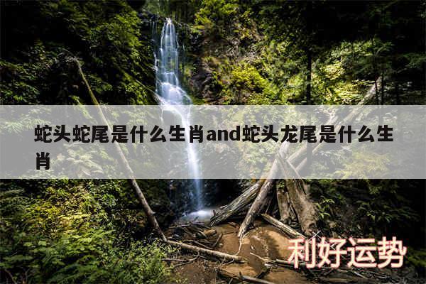 蛇头蛇尾是什么生肖and蛇头龙尾是什么生肖