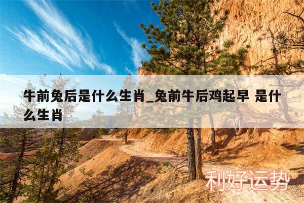 牛前兔后是什么生肖_兔前牛后鸡起早 是什么生肖