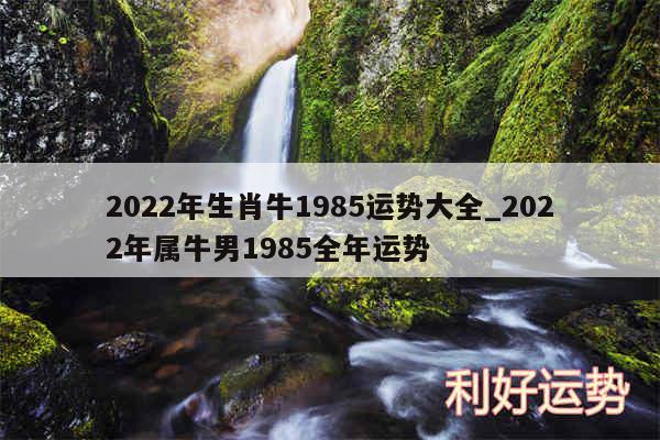 2024年生肖牛1985运势大全_2024年属牛男1985全年运势