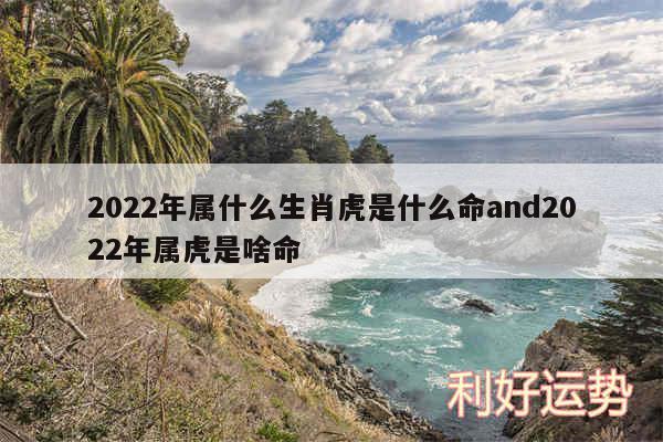 2024年属什么生肖虎是什么命and2024年属虎是啥命