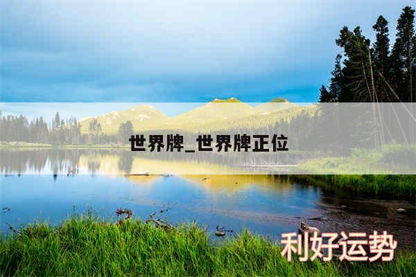世界牌_世界牌正位