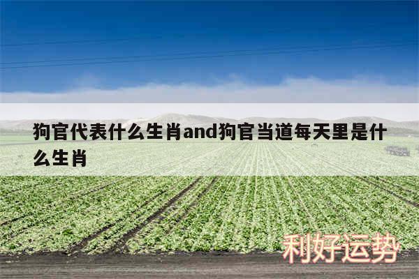 狗官代表什么生肖and狗官当道每天里是什么生肖