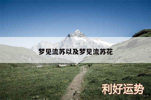 梦见流苏以及梦见流苏花