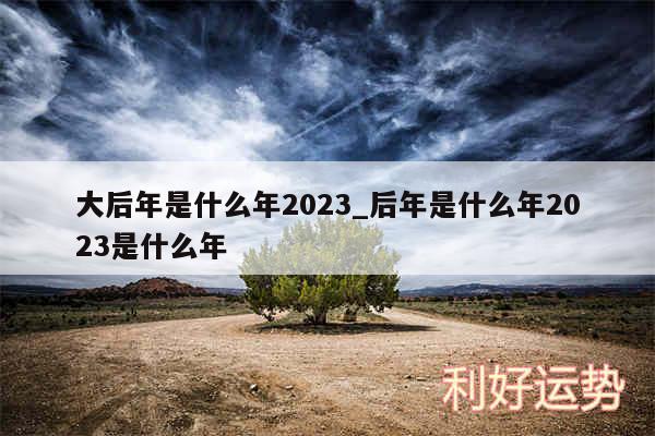 大后年是什么年2024_后年是什么年2024是什么年