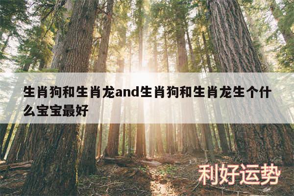 生肖狗和生肖龙and生肖狗和生肖龙生个什么宝宝最好
