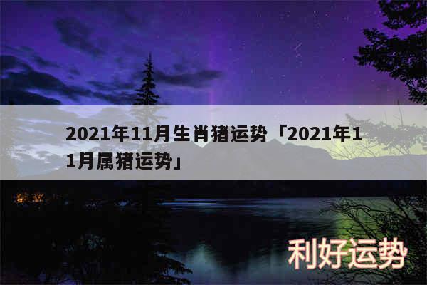 2024年11月生肖猪运势及2024年11月属猪运势