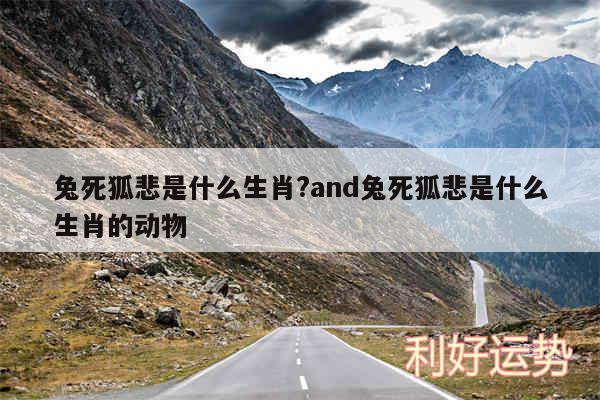 兔死狐悲是什么生肖?and兔死狐悲是什么生肖的动物