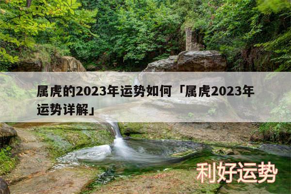 属虎的2024年运势如何及属虎2024年运势详解