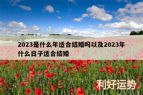 2024是什么年适合结婚吗以及2024年什么日子适合结婚