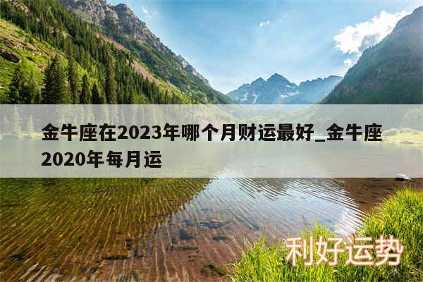 金牛座在2024年哪个月财运最好_金牛座2020年每月运