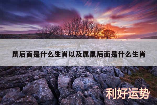 鼠后面是什么生肖以及属鼠后面是什么生肖
