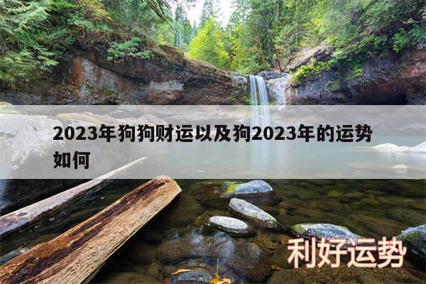 2024年狗狗财运以及狗2024年的运势如何