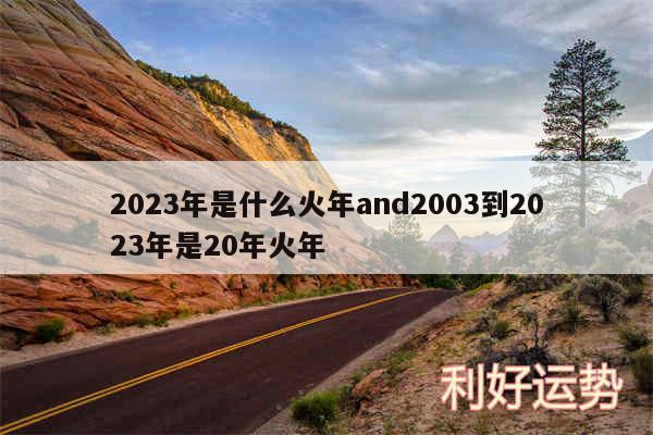 2024年是什么火年and2003到2024年是20年火年