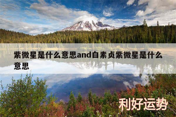 紫微星是什么意思and白素贞紫微星是什么意思