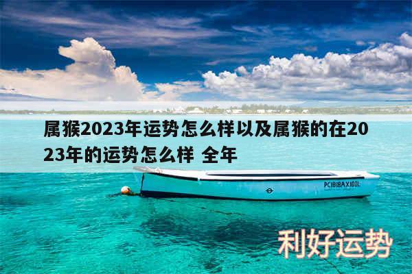 属猴2024年运势怎么样以及属猴的在2024年的运势怎么样 全年