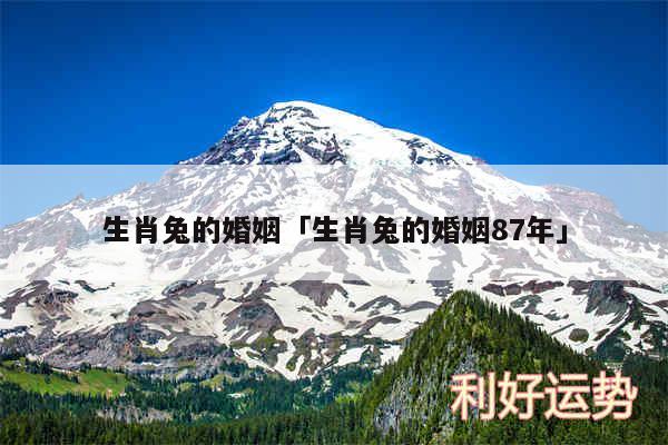 生肖兔的婚姻及生肖兔的婚姻87年