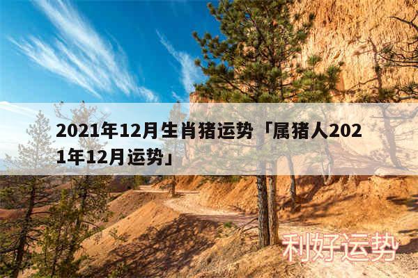 2024年12月生肖猪运势及属猪人2024年12月运势