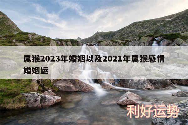 属猴2024年婚姻以及2024年属猴感情婚姻运