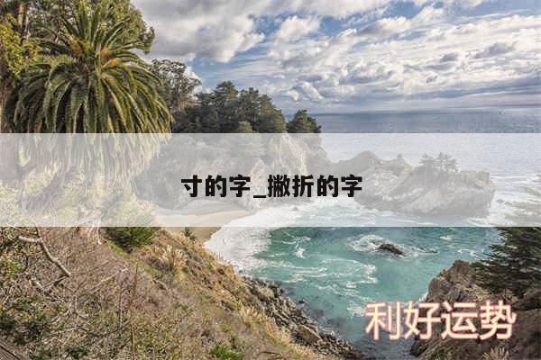 寸的字_撇折的字