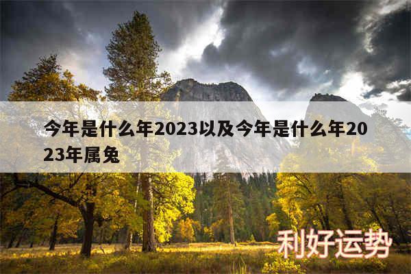 今年是什么年2024以及今年是什么年2024年属兔