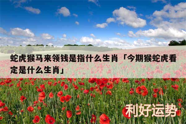 蛇虎猴马来领钱是指什么生肖及今期猴蛇虎看定是什么生肖