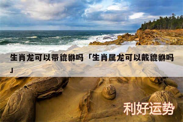 生肖龙可以带貔貅吗及生肖属龙可以戴貔貅吗