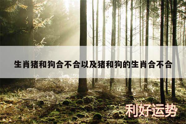 生肖猪和狗合不合以及猪和狗的生肖合不合