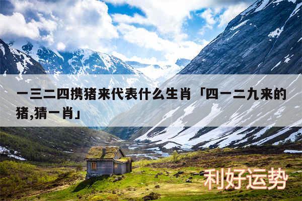 一三二四携猪来代表什么生肖及四一二九来的猪,猜一肖