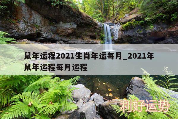 鼠年运程2024生肖年运每月_2024年鼠年运程每月运程