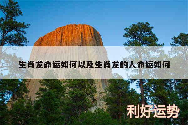 生肖龙命运如何以及生肖龙的人命运如何