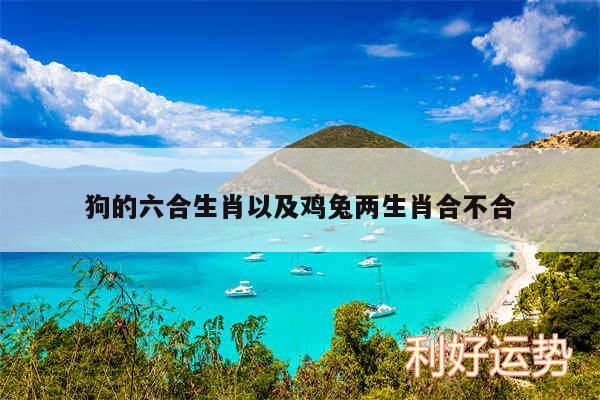 狗的六合生肖以及鸡兔两生肖合不合
