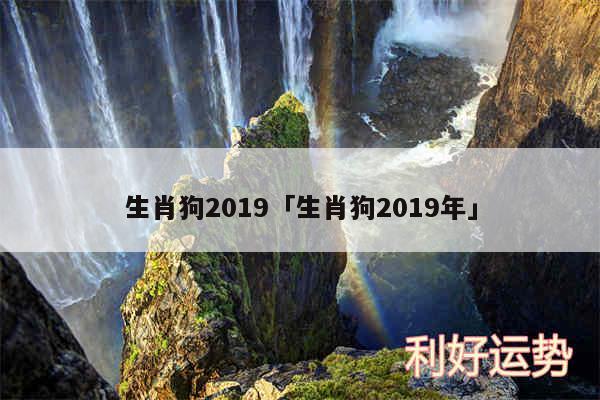 生肖狗2019及生肖狗2019年