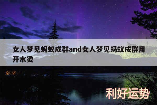 女人梦见蚂蚁成群and女人梦见蚂蚁成群用开水烫