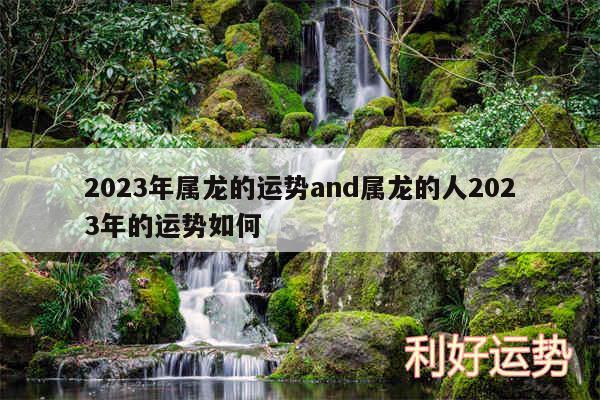 2024年属龙的运势and属龙的人2024年的运势如何