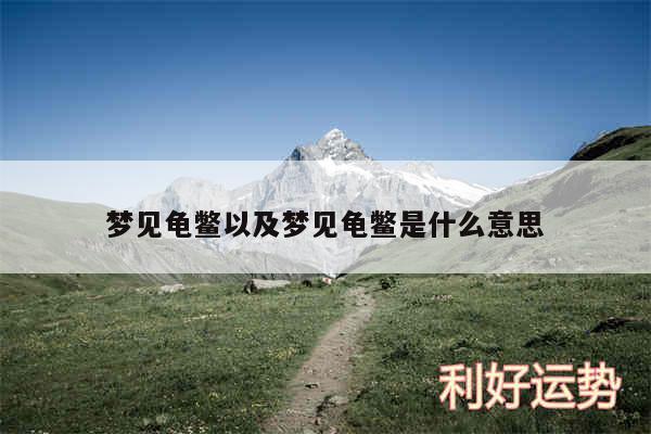梦见龟鳖以及梦见龟鳖是什么意思